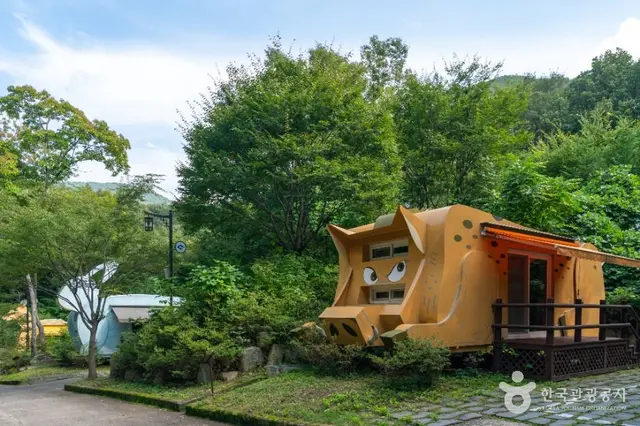 팔공산금화자연휴양림 사진