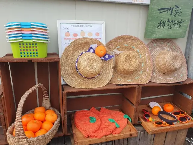 해품은체험농장 사진