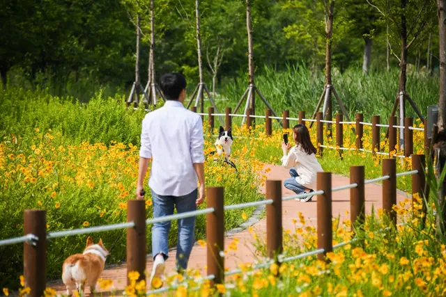 요천생태습지공원 사진