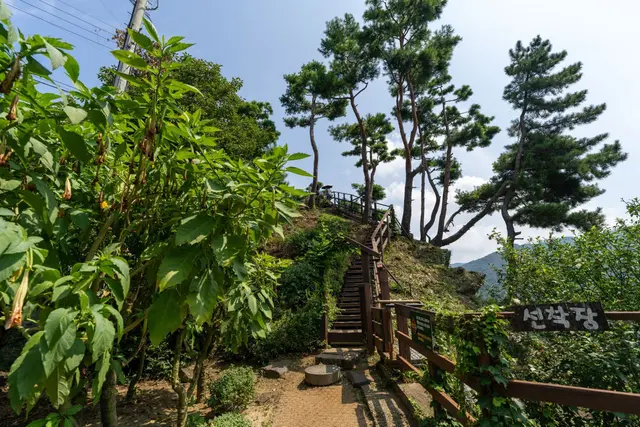 수생식물학습원 사진