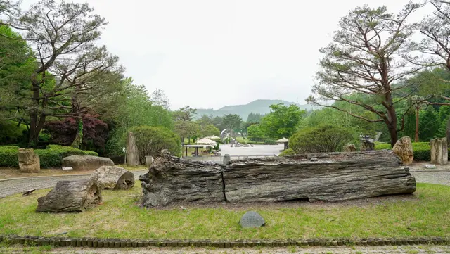 미동산수목원 사진