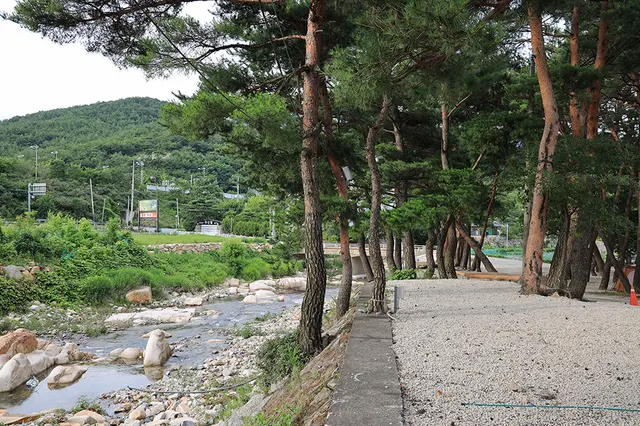 힐링캠프 사진