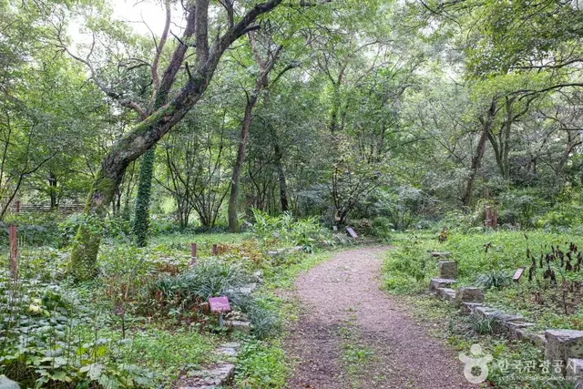 기청산식물원 사진