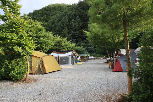 내리계곡솔밭캠핑장 사진