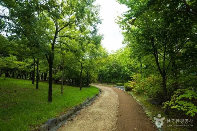 한밭수목원 사진