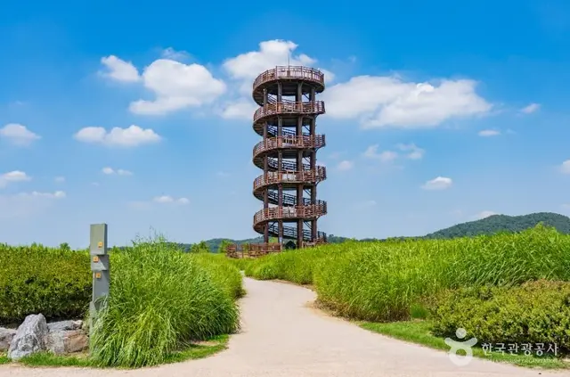 흔들전망대 사진
