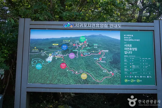 서귀포자연휴양림 사진
