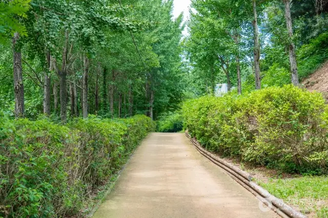 초록산산림욕장 사진