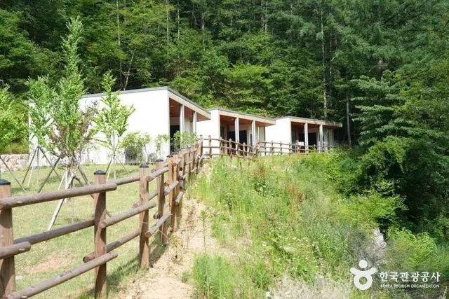 국립금산자연휴양림 사진