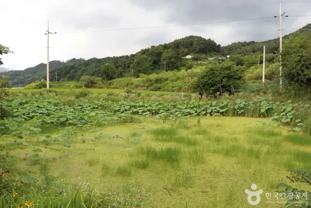 지리산 애완곤충농원 사진