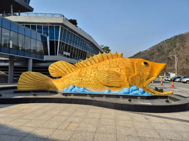 단양 다누리아쿠아리움 사진