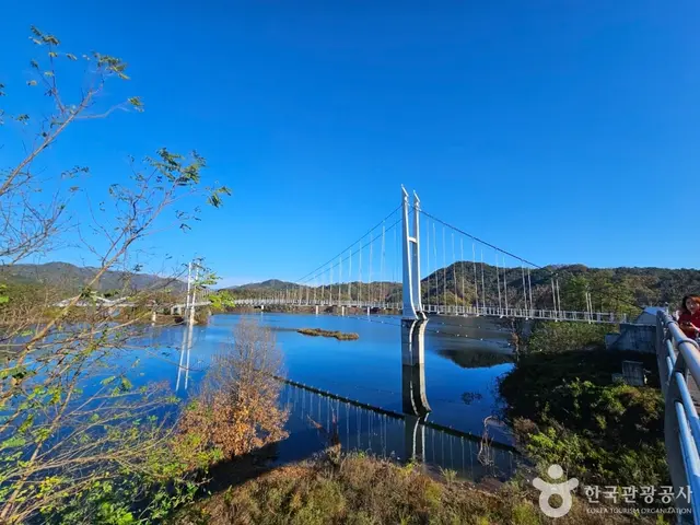 부항댐 출렁다리 사진