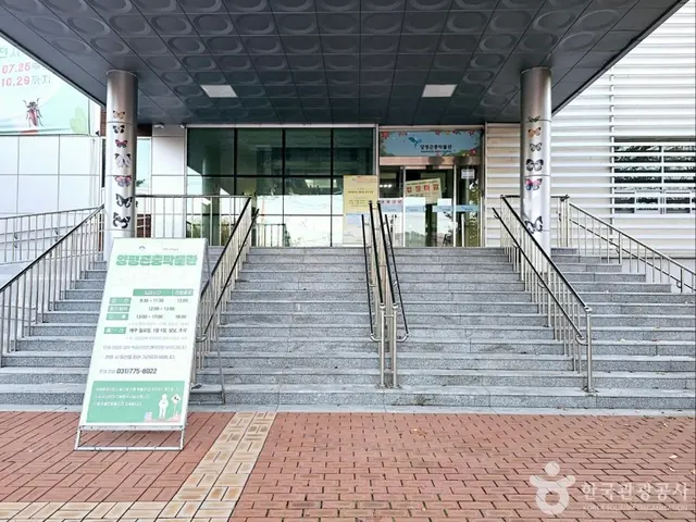 양평곤충박물관 사진