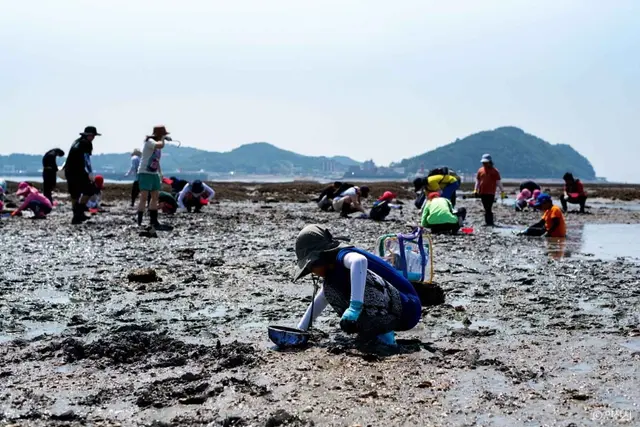선감어촌체험마을 사진