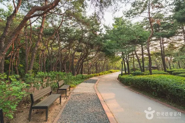 남산야외식물원 사진