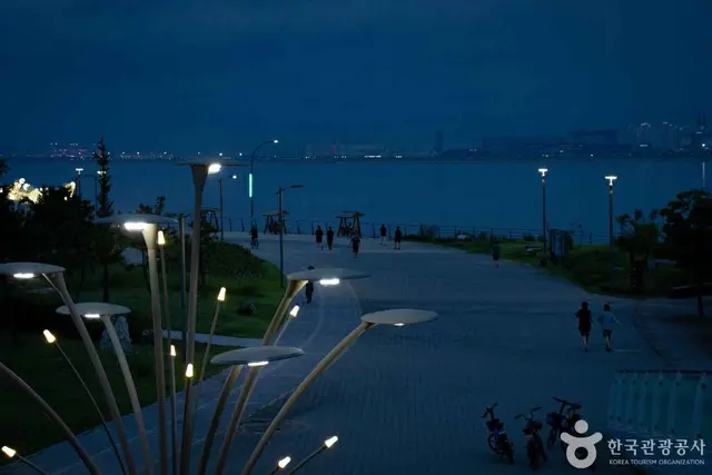배곧한울공원 사진