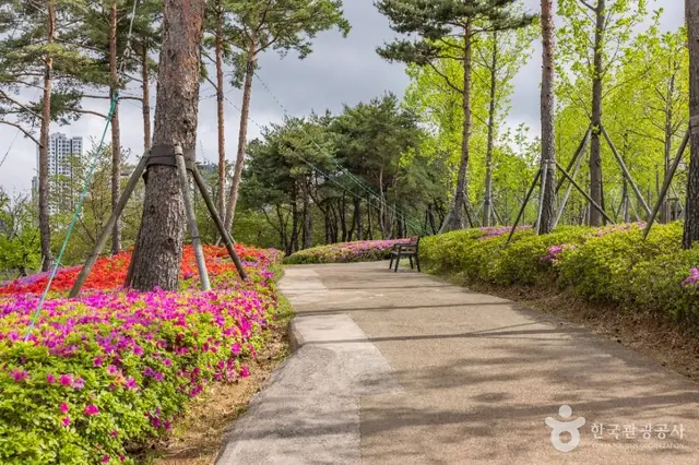 부산시민공원 사진
