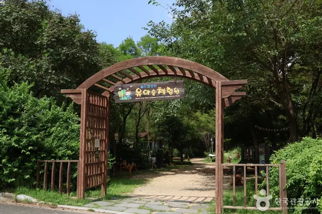 월드컵공원 유아숲체험원 사진