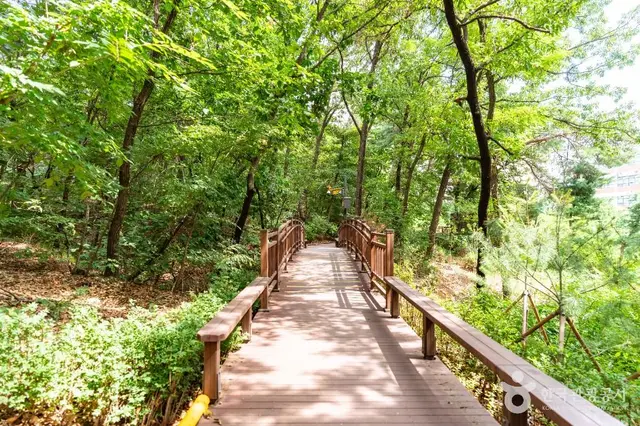 오금공원 유아숲체험원 사진