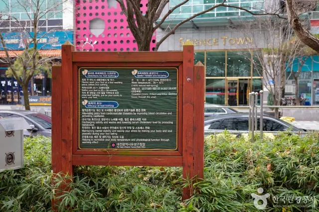 유성 족욕체험장 사진