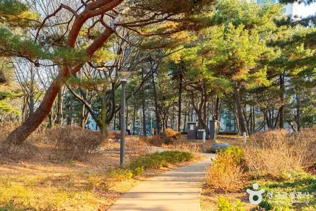 양천공원 놀이터 사진