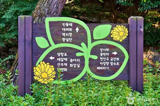 수레의산자연휴양림 사진