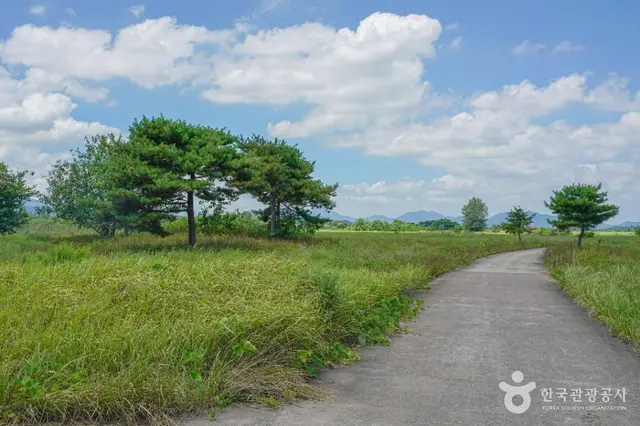 술뫼생태공원 사진