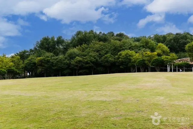 오산 고인돌공원 사진