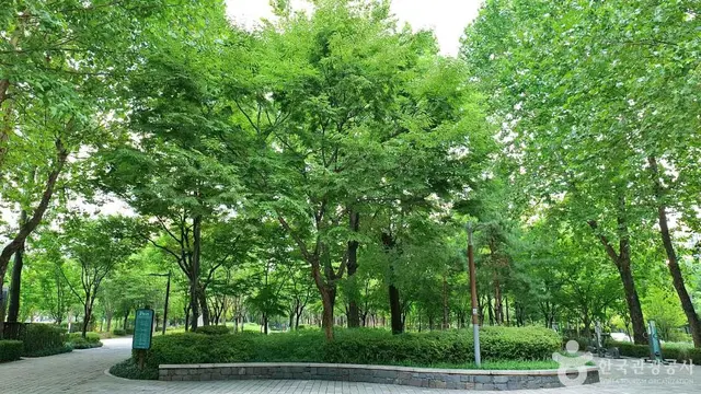 신사공원 사진