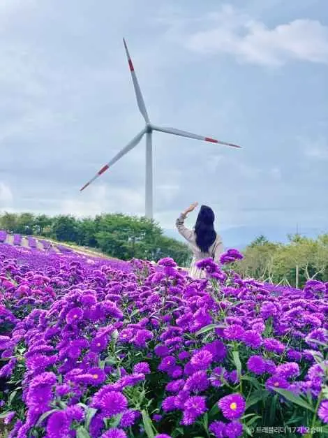 거창별바람언덕 사진