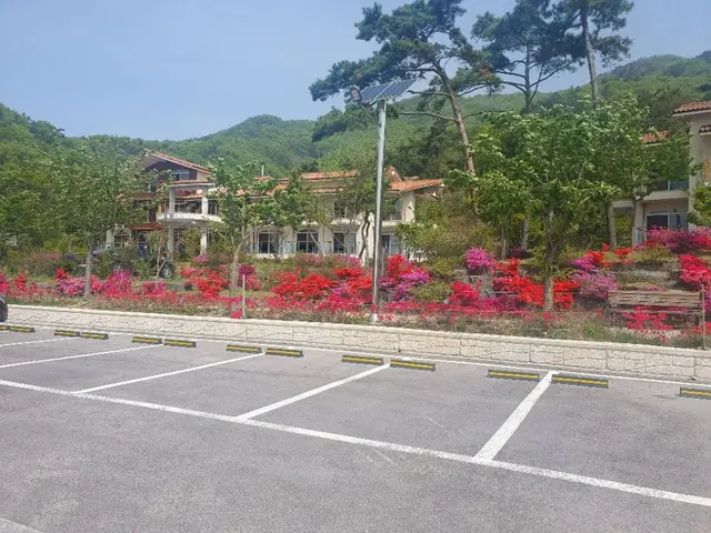 변산자연휴양림 사진