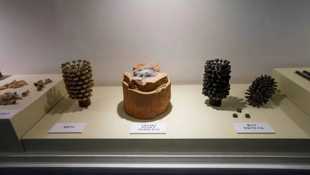 청주고인쇄박물관 사진