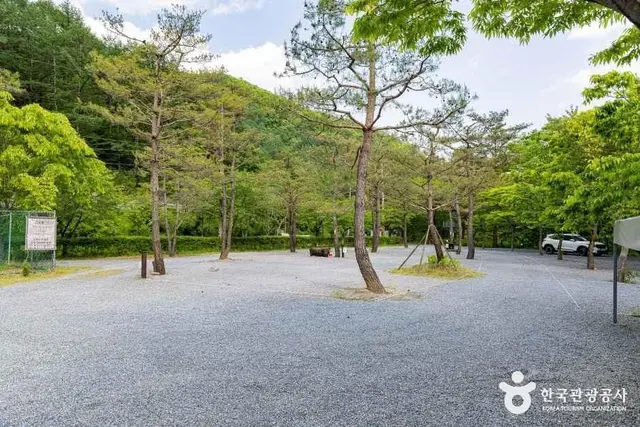 덕동소풍가는날 펜션캠핑장 사진