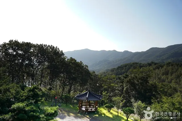 미숭산자연휴양림 사진