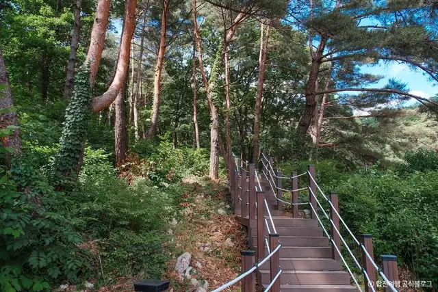 오도산자연휴양림 사진