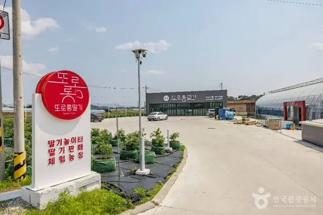 또로롱딸기 사진
