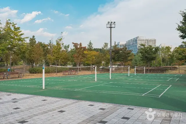 미사한강공원4호 사진