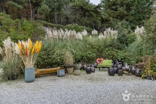 포레스트 수목원 사진