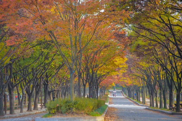 인천대공원 사진