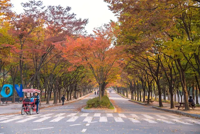 인천대공원 사진