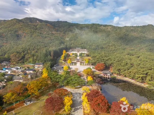 경주 통일전 은행나무길 사진