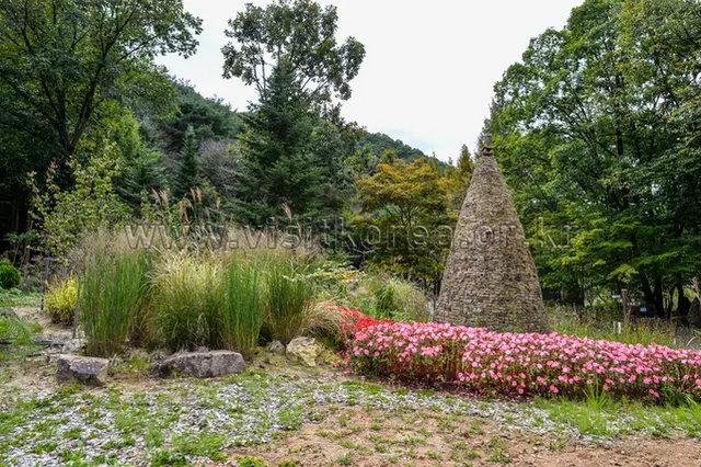 상소동 산림욕장 사진