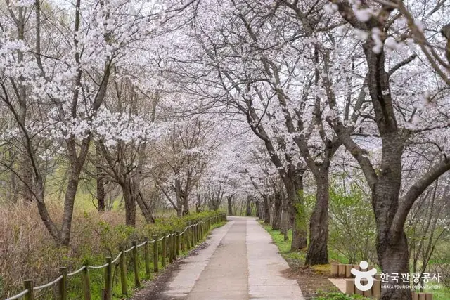 인천대공원 사진