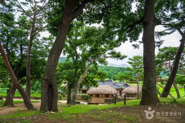 외암민속마을 사진