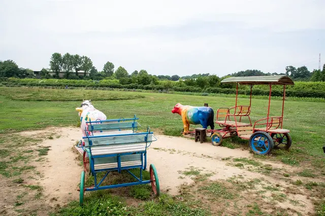 아그로랜드 태신목장 사진
