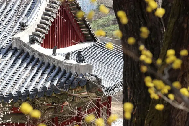 창경궁 사진