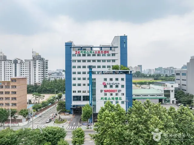 키위스파랜드 사진