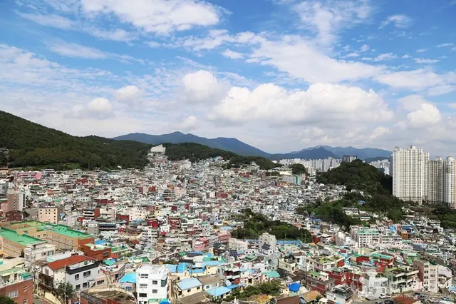 책마루전망대 사진