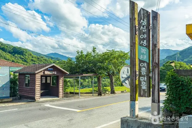 하동 삼신녹차마을 사진