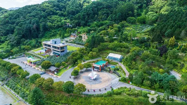 홍천 무궁화수목원 사진